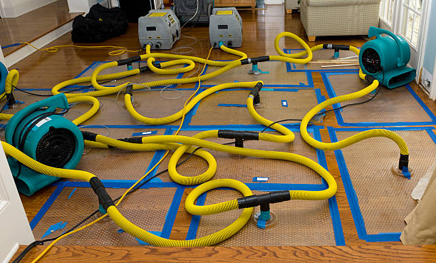 Professional Crawl Space Water Removal technician working in Shirley, NY